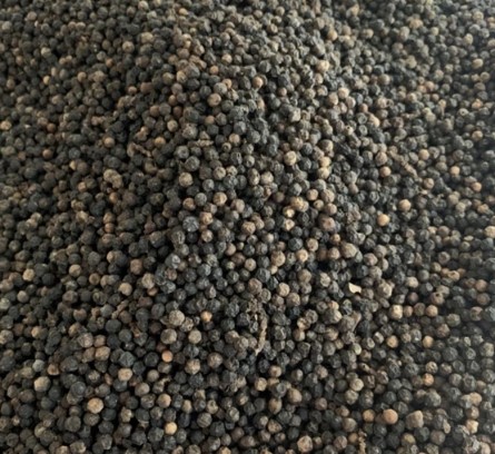 Black Pepper