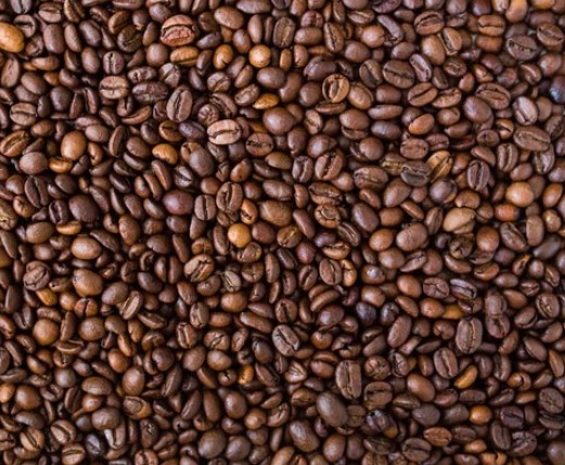 Robusta Coffee